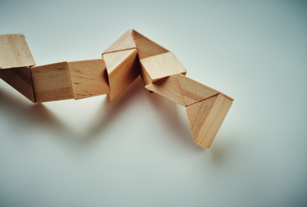 Drewniane puzzle/łamigłówki - obrazek 8